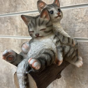 Cats on a Branch