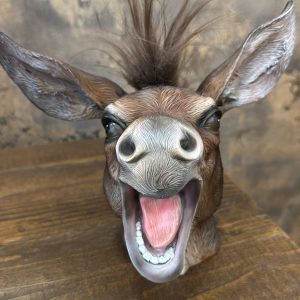 Donkey Head