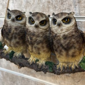 Owls on a Branch