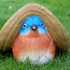 Bluetit in Mexican Hat