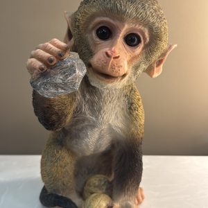 Monkey Holding Rock