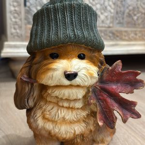 Autumn Dog