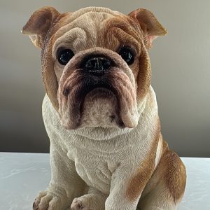 Bulldog Chilling