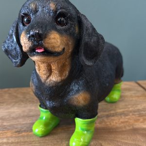 Dog in Green Boots