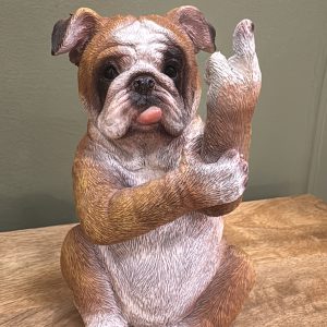 Up Yours Bulldog