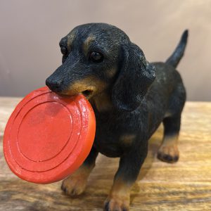 Dog with Red Frisbee