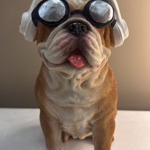 Dog with Vibes