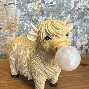 Cow blowing Bubblegum
