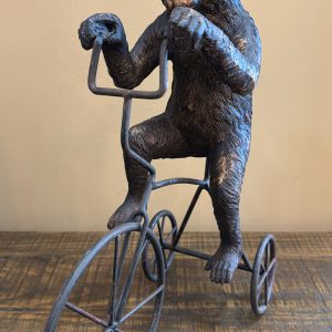 Monkey on Tricycle