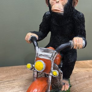 Monkey on his Motorbike