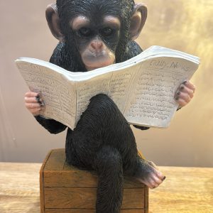 Monkey reading the News