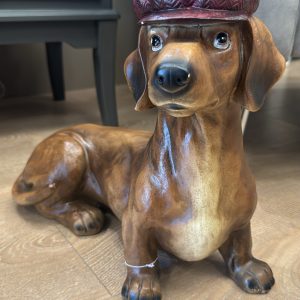 Sausage Dog wearing Hat
