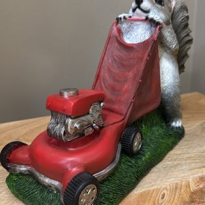 Squirrel Grasscutter