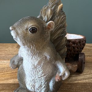 Squirrel with Acorn Trailer