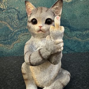 Up Yours Cat