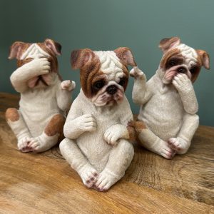 Who done it? Bulldogs Setof3
