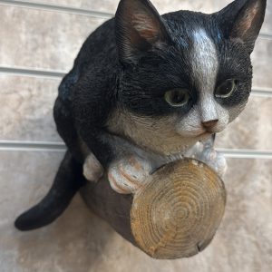 Cat on a Branch
