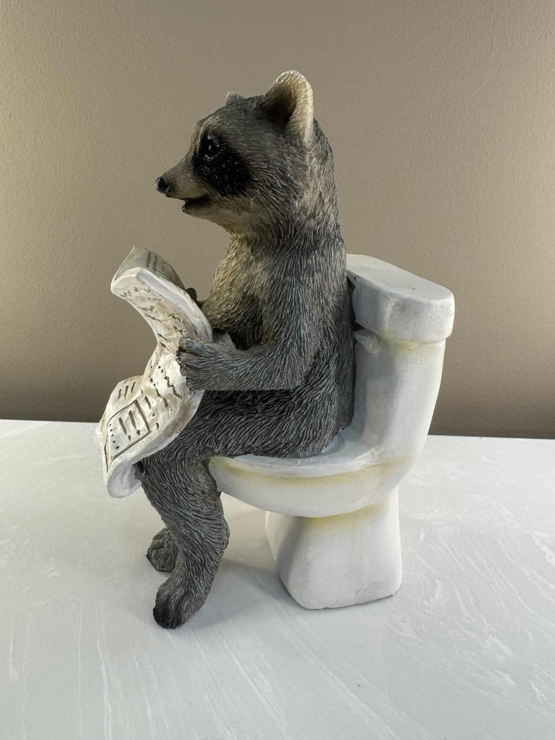 Racoon on the Loo - Image 2