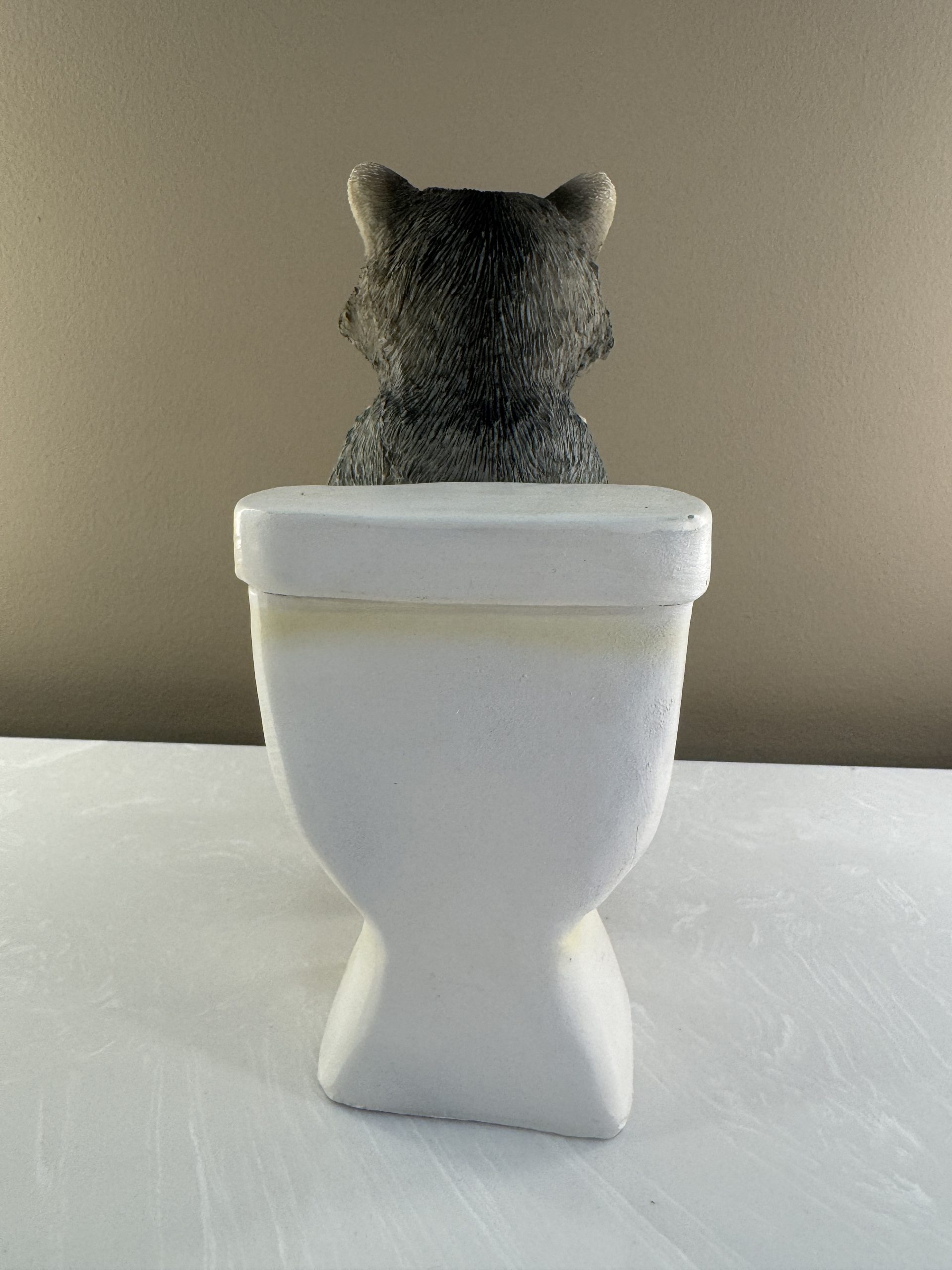 Racoon on the Loo - Image 3