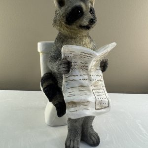 Racoon on the Loo