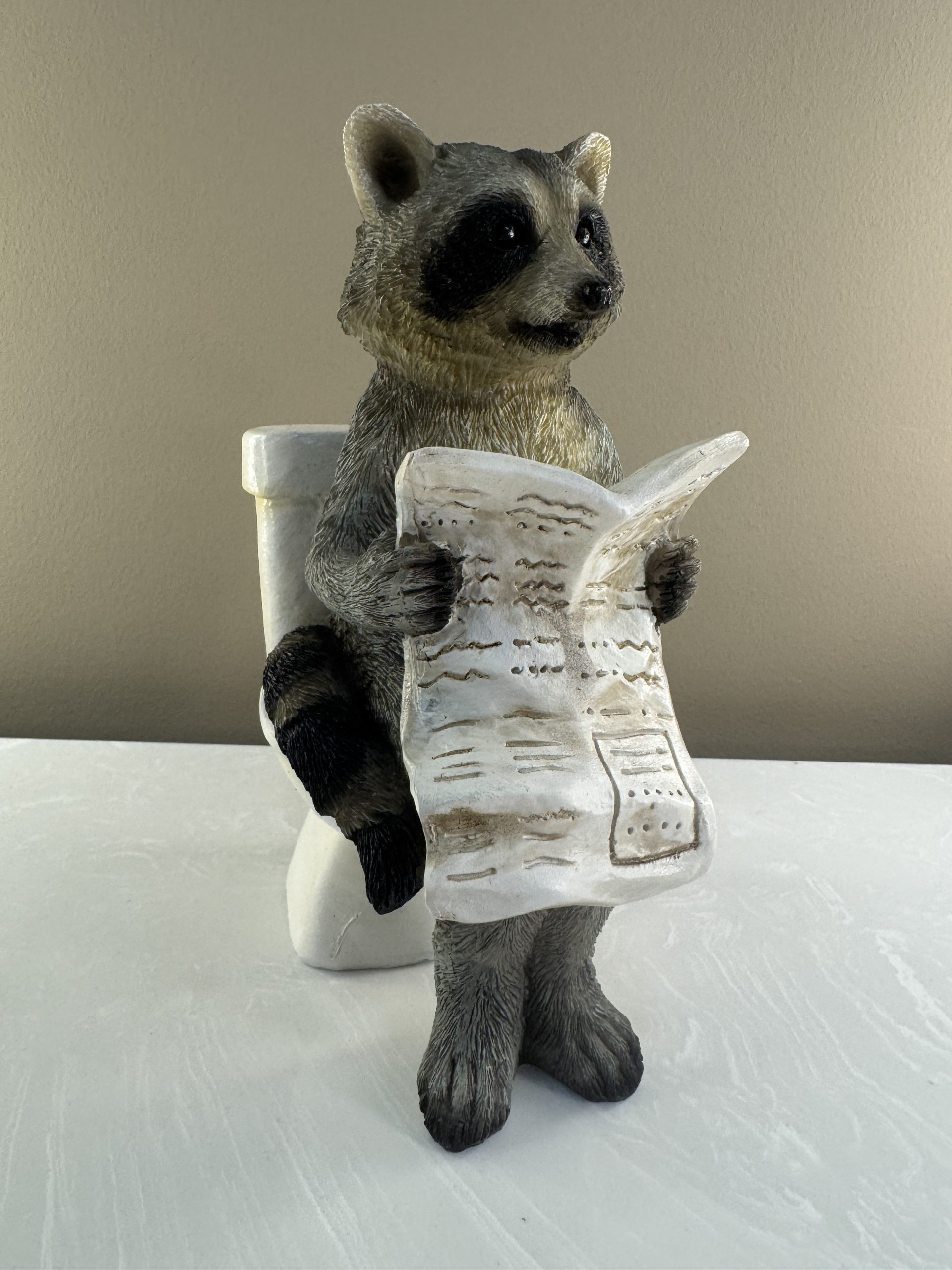 Racoon on the Loo