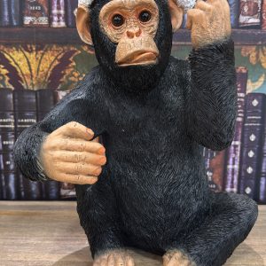 Up Yours Collection - Cheeky Humour