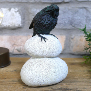 Bird Stood On Pebbles