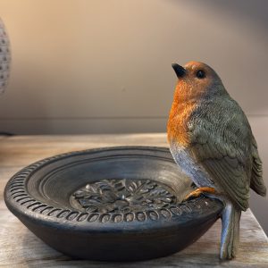 Robin Bird Feeder Bowl