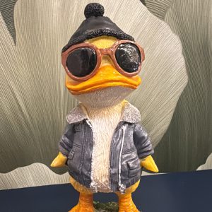 Cool Duck