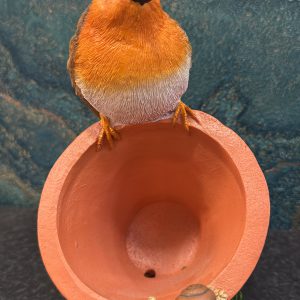Robin On A Pot