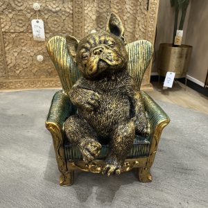 Frenchie In Chair