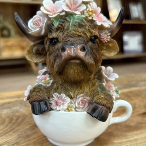 Highland Cow in A Teacup